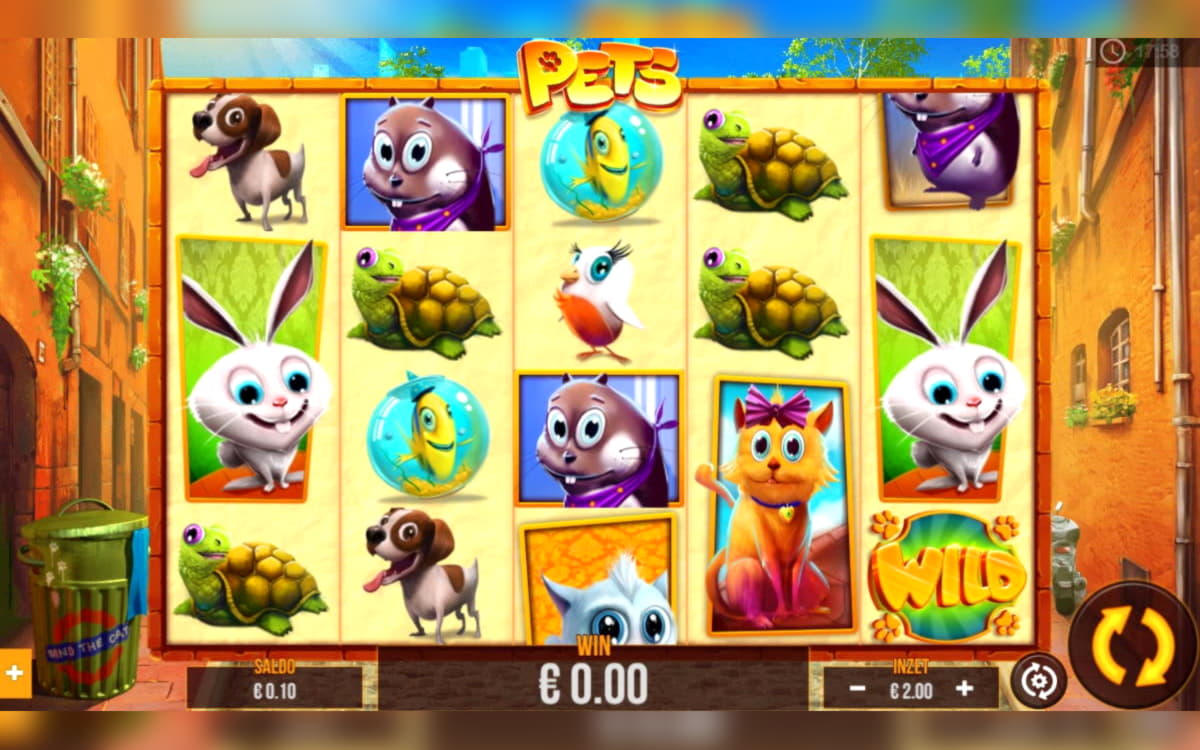255 gratis casinosnurr på Dunder Casino